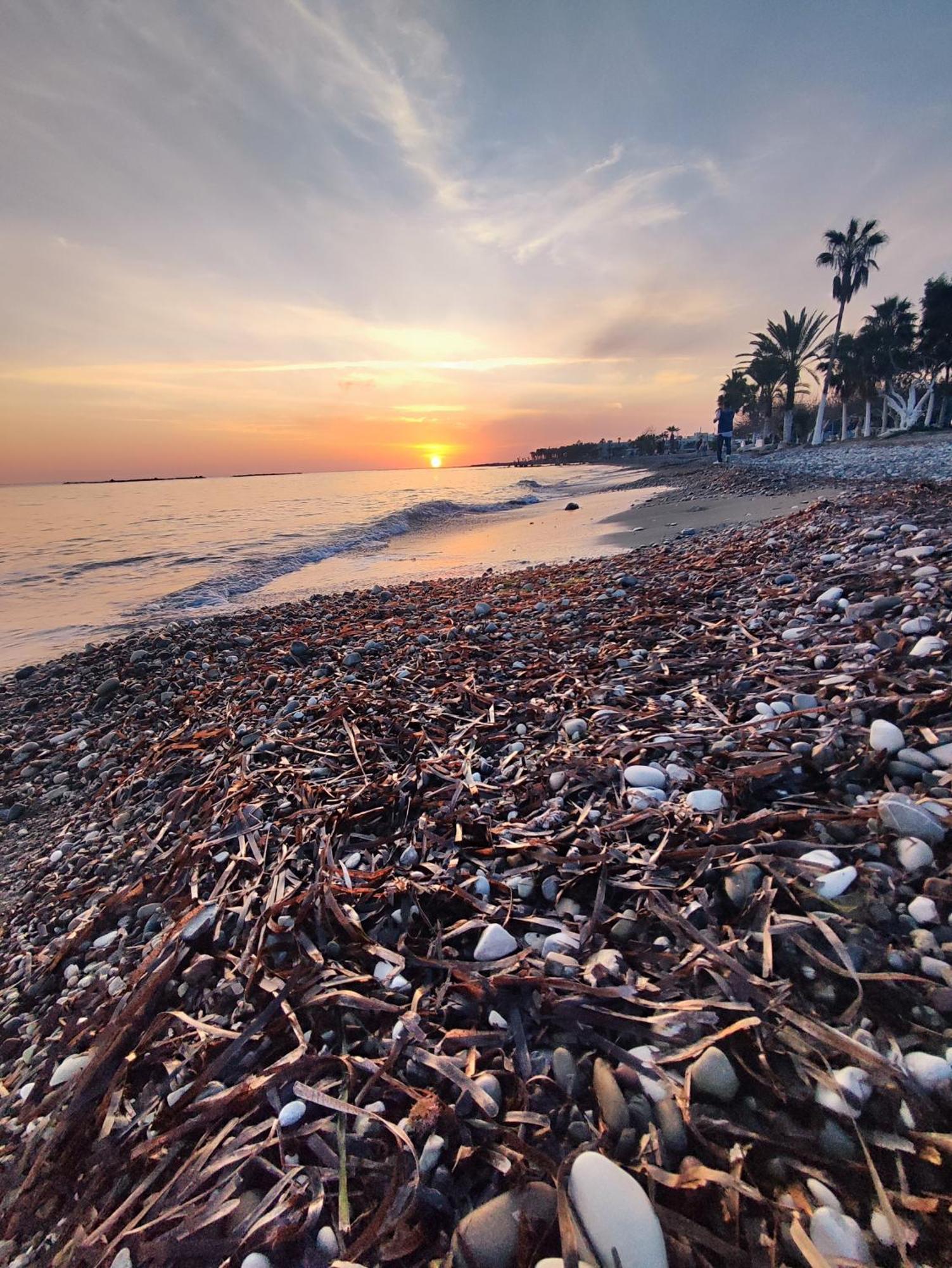 Marina Gardens Apartment Paphos Bagian luar foto